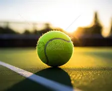 包含网球赛场再起风云：泰山赤兔队火力全开河套火箭队，新援首秀制胜赛季拐点或已出现的词条