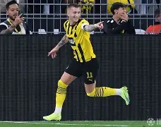  沙与沫美句赏析 