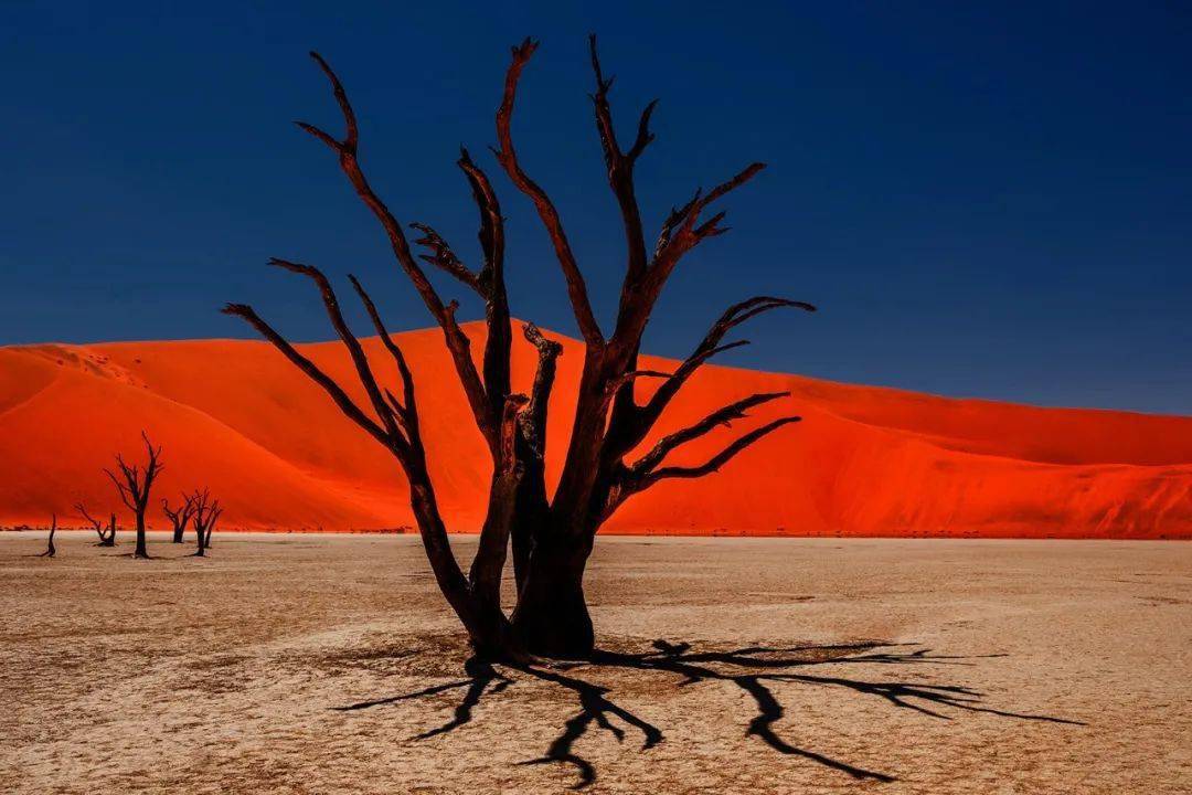 蒂姆赛事官方发布大胜新规,澳大利亚队争议不断!的简单介绍 蒂姆赛事官方发布大胜新规,澳大利亚队争议不断!的简单介绍